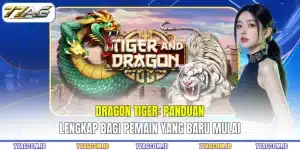 Dragon Tiger 77AG -Panduan Lengkap Bagi Pemain Yang Baru Mulai